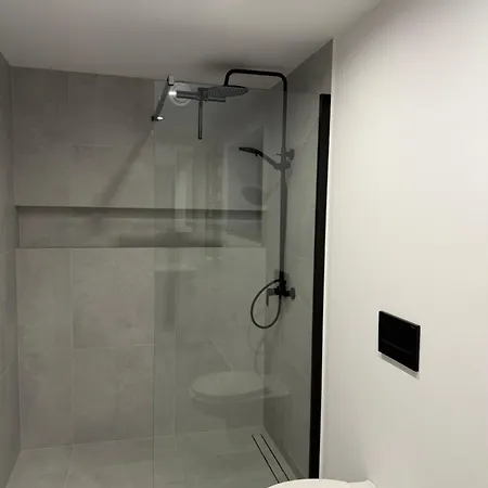 Appartement W Gorach